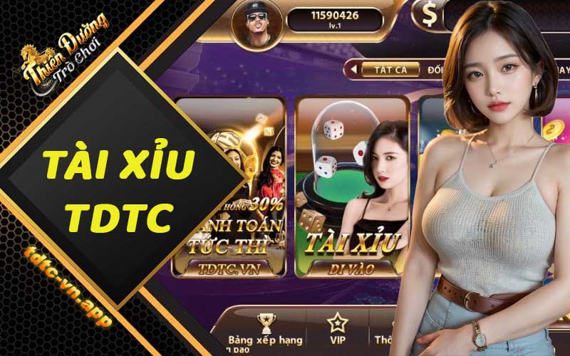 Tài xỉu TDTC - Hình thức giải trí phổ biến được ưa chuộng