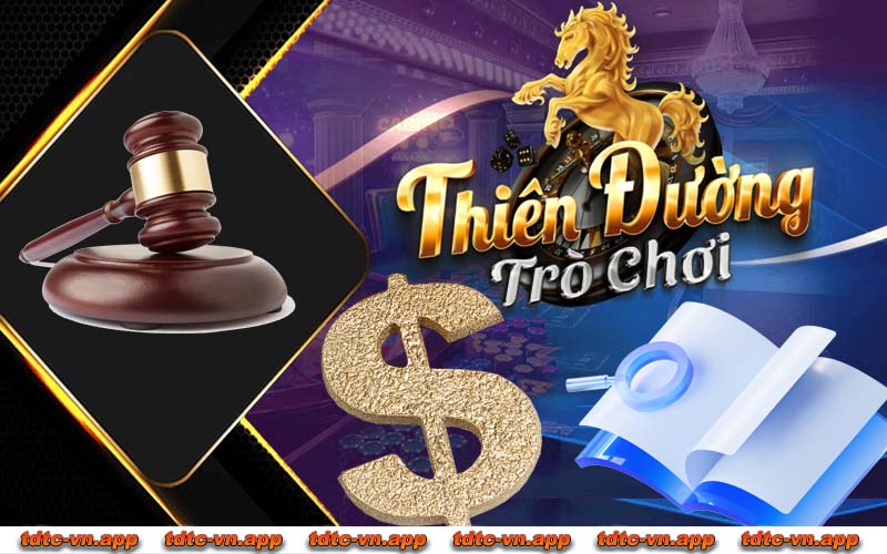 Trách nhiệm pháp lý được TDTC quy định trong chính sách