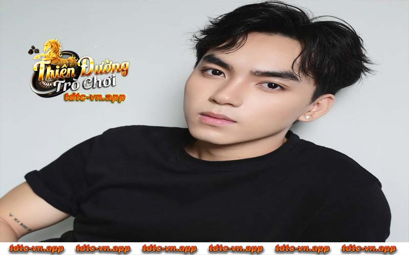 Vai trò của Hoàng Long trên website cổng game TDTC